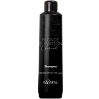 Blonde Elevation Charcoal Shampoo (Чёрный угольный тонирующий шампунь для волос)
