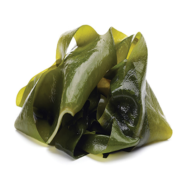 Laminaria Leaves (Ламинария листовая от 80 см "Японика")