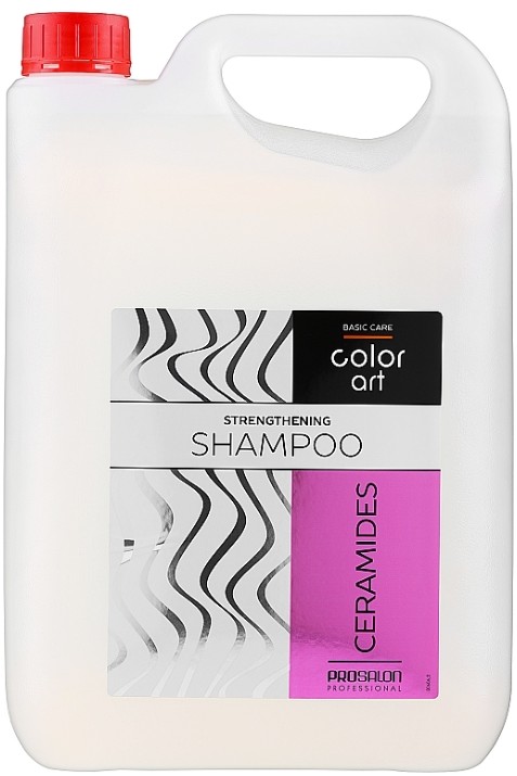 Basic Care Color Art Shampoo (Укрепляющий шампунь с керамидами)