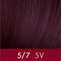 Tint & Tone Advanced (Мультивалентный перманентный краситель), 90 мл