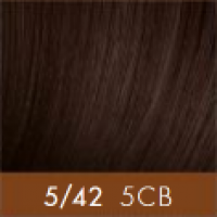 Tint & Tone Advanced (Мультивалентный перманентный краситель), 90 мл