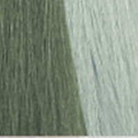 Baco ColorGlaze Color Gel (Кондиционирующий оттеночный колор-гель), 60 мл
