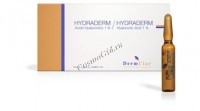 Dermclar Hydraderm Hyaluronic Acid (Ампульный препарат Гидрадерм "Гиалуроновая кислота"), 2 мл. - купить, цена со скидкой