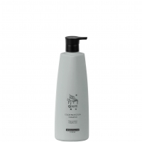 Color Protection Shampoo (Шампунь защита цвета окрашенных волос)