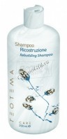 Teotema Shampoo ricostruzione rebuilding (Восстанавливающий шампунь) - 