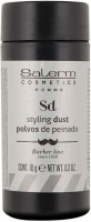 Salerm Styling Dust (Пудра для объема волос), 10 г - купить, цена со скидкой