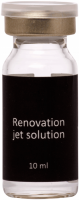 Jeu'Demeure Renovation Jet Solution ( ), 10  - ,   