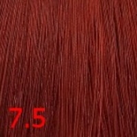 Color Explosion (Перманентная крем-краска для волос), 60 мл