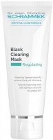 Dr.Schrammek Black Clearing Mask (Маска детокс себорегулирующая с черным бамбуковым углем) - купить, цена со скидкой