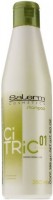 Salerm Citric Balance Shampoo (Шампунь для окрашенных волос) - купить, цена со скидкой