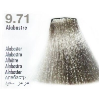 Hair Color (Крем-краска для волос с экстрактом мальвы и тысячелистника), 100 мл
