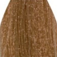 ColorDream Hair Color Gel (Безаммиачная гель-краска с соком алоэ-вера), 100 мл