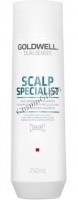 Goldwell Dualsenses Scalp Specialist Anti-dandruff shampoo (Шампунь против перхоти), 250 мл - 