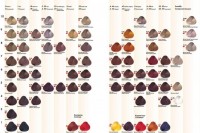 AAA Hair Cream Colorant (Стойкая крем-краска для волос), 100 мл