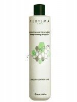 Teotema Cleaning shampoo with keratin (   ), 500  - ,   
