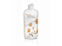 Teotema Sebum specific purifying shampoo (Шампунь для жирных волос) - купить, цена со скидкой