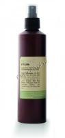 Insight Styling Medium Hold Ecospray (Эко лак средней фиксации с экстрактом шиповника и маслом маракуйи), 250 мл - купить, цена со скидкой