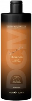 Lisap DCM Shampoo For Curly And Frizzy Hair (        ) - ,   