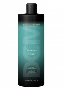 Lisap DCM Shampoo for Dry and Brittle Hair (         ) - ,   