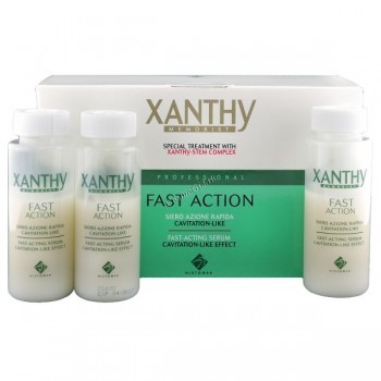 Histomer Xanthy fast action (    ), 15  - ,   