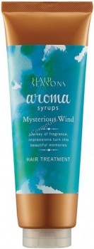 Demi Hair Seasons Aroma Syrups Mysterious Wind Hair Treatment (     ) - ,   