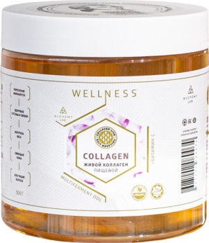 Wellness (Биокомплекс с витамином С), 500 гр