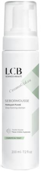 Biotechniques M120 SeborMousse (Себормусс для жирной кожи)
