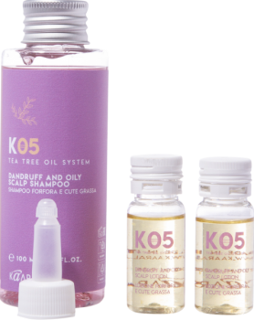Travel Kit Dandruff and Oily Scalp (Набор от перхоти для жирной кожи головы)