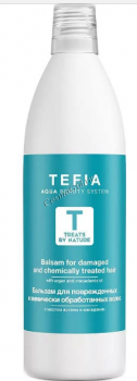 Tefia Treats by Nature (           ), 1000  - ,   