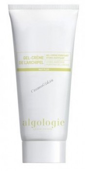 Algologie Moisturizing Gel Cream (Увлажняющий матирующий гель - крем для жирной и смешанной кожи) - купить, цена со скидкой