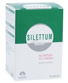 Jaldes Silettum (-    ,  ), 60  - ,   