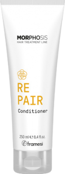 Morphosis Repair Conditioner (Восстанавливающий кондиционер для повреждённых волос)