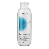 Ybera professional Discovery shampoo ( ), 250 . - ,   