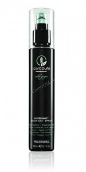 Paul Mitchell Hydromist blow-out spray (    ) - ,   