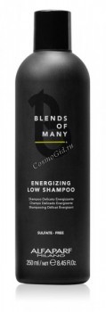 Alfaparf  Energizing Low Shampoo (  ), 250  - ,   