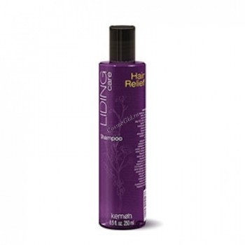 Kemon Liding care hair relief shampoo (-      ) - ,   