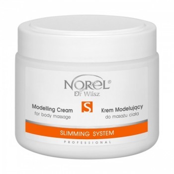 Norel Dr. Wilsz Modelling cream for body massage Slimming System (&#774;    ), 500  - ,   