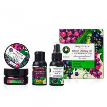 Blackcurrant and Red Grapes Mini Kit (Набор мини продуктов Черная смородина и красный виноград), 2шт*50 мл, 2шт*60мл