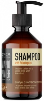 Adapto Power Shampoo (Шампунь для восстановления и укрепления волос с комплексом адаптогенов)