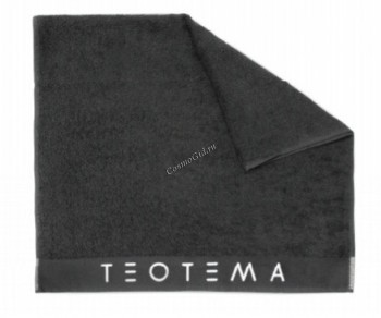 Teotema (  2016) - ,   