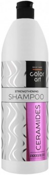 Basic Care Color Art Shampoo (Укрепляющий шампунь с керамидами)
